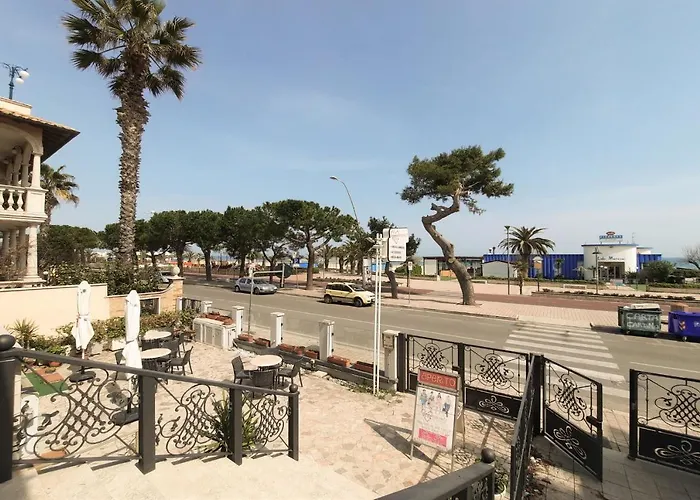 Alide Bilo 1p - Myho Casa * トルトレート